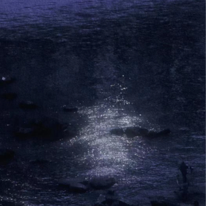 女人和男人插入啪啪啪的视频
